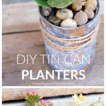 Decoupage Tin Can Planters 16 214x214 - Amazing ideas to Decoupage Tin Can Planters