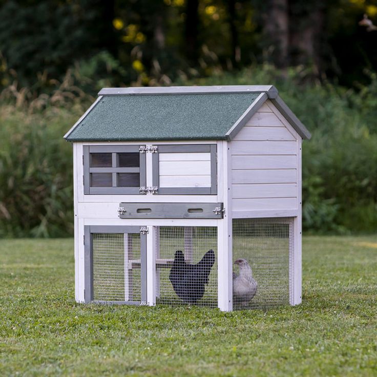 Diy Chicken Coops 17 - Coolest DIY Chicken Coop Ideas For Your Birds