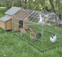 Diy Chicken Coops 22 214x195 - Coolest DIY Chicken Coop Ideas for Your Birds