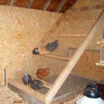 Diy Chicken Coops 46 214x214 - Coolest DIY Chicken Coop Ideas for Your Birds