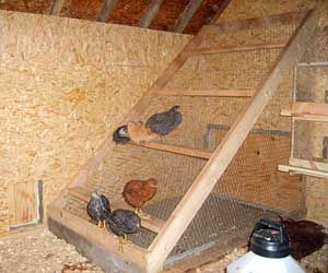 Diy Chicken Coops 46 - Coolest DIY Chicken Coop Ideas For Your Birds