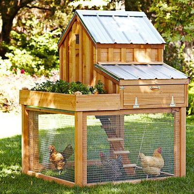 Diy Chicken Coops 7 - Coolest DIY Chicken Coop Ideas For Your Birds