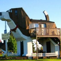 Diy Dog Houses 17 214x214 - 40+ DIY Dog House Ideas Your Dog Will Absolutely Love