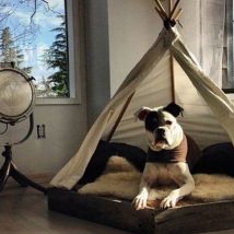 Diy Dog Houses 4 214x214 - 40+ DIY Dog House Ideas Your Dog Will Absolutely Love