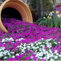 Diy Flower Gardens 10 214x214 - Unexpected DIY Flower Gardening Ideas and Planter Projects