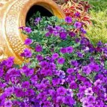 Diy Flower Gardens 9 214x214 - Unexpected DIY Flower Gardening Ideas and Planter Projects