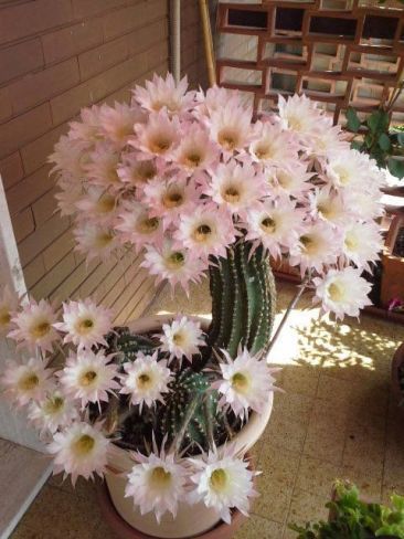 Diy Flower Vases 42 - 40+ DIY Flower Vases As Pretty As The Flowers Themselves