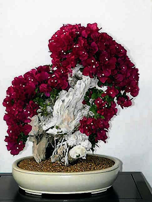 Diy Flower Vases 46 - 40+ DIY Flower Vases As Pretty As The Flowers Themselves
