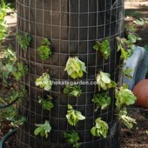 Diy Raised Planters 47 214x214 - Best DIY Raised Planters Ideas you can find