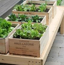 Diy Raised Planters 52 211x214 - Best DIY Raised Planters Ideas you can find