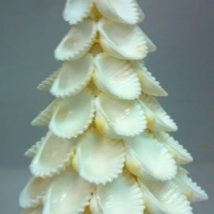 Diy Sea Shell Projects 35 214x214 - 35+ Awesome Ideas to be Done With Seashells