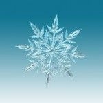 Diy Snowflakes 40 - Coolest DIY Snowflakes You Can Make Easily