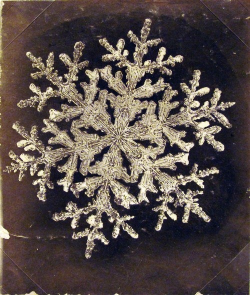 Diy Snowflakes 41 - Coolest DIY Snowflakes You Can Make Easily