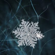 Diy Snowflakes 50 214x214 - Coolest DIY Snowflakes you can make easily