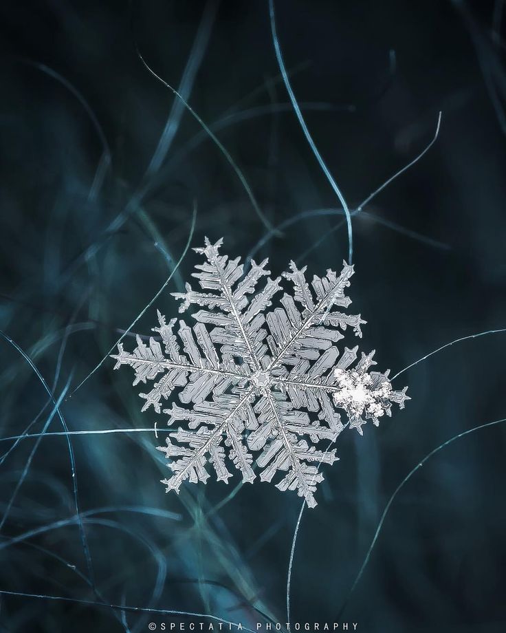 Diy Snowflakes 50 - Coolest DIY Snowflakes You Can Make Easily