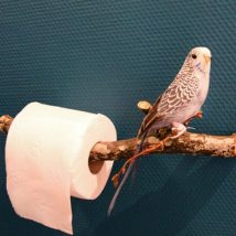 Diy Toilet Paper Holder 17 214x214 - 40+ Creative & Easy DIY Toilet Paper Holders