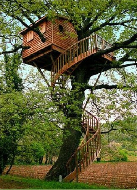 Diy Tree Houses 15 - 45+ DIY Tree House Ideas For Your Inspiration