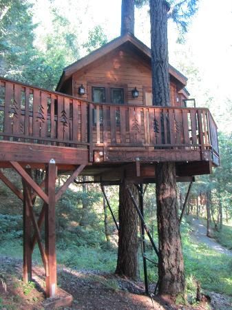 Diy Tree Houses 5 - 45+ DIY Tree House Ideas For Your Inspiration