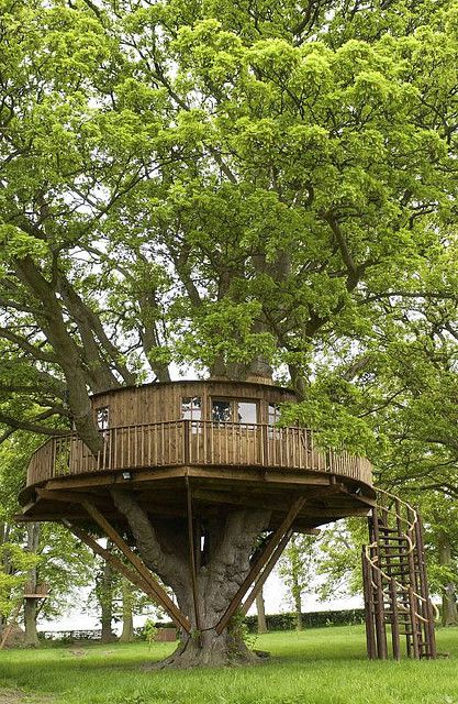 Diy Tree Houses 53 - 45+ DIY Tree House Ideas For Your Inspiration
